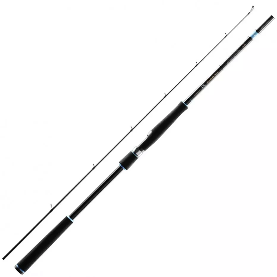 canne spinning favortie x1