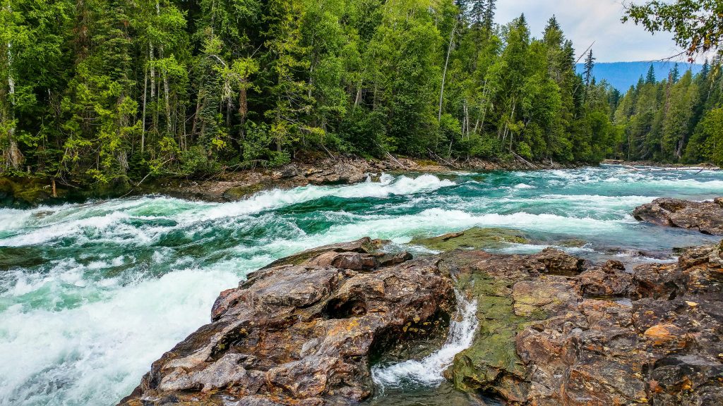vue sur une rivière sauvage