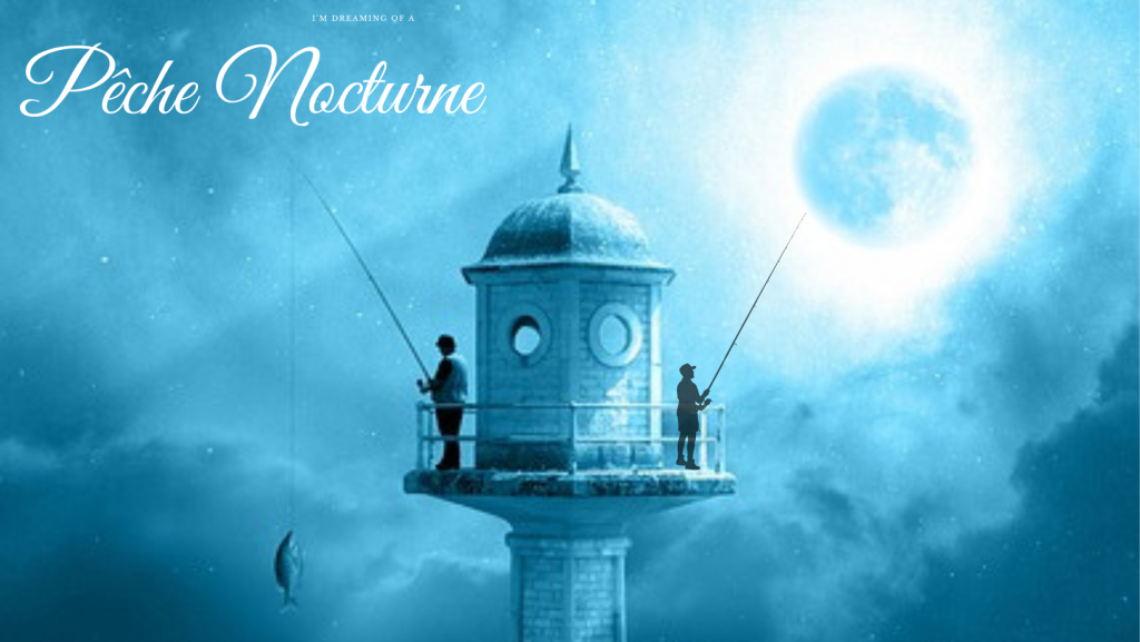 article blog pêche nocturne