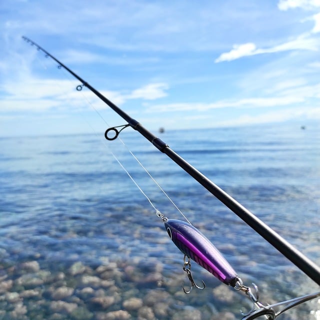 canne à pêche au leurre avec vu mer en arrière plan