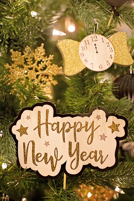 branche de sapin avec décoration et pancarte bonne année