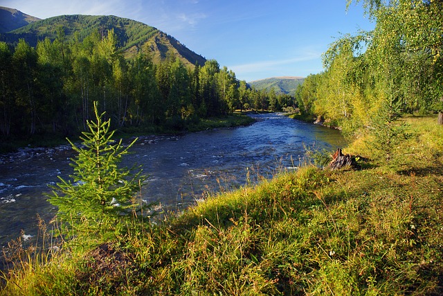 paysage de montagne avec un lac au milieu
