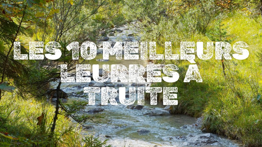 les 10 meilleurs leurres à truite