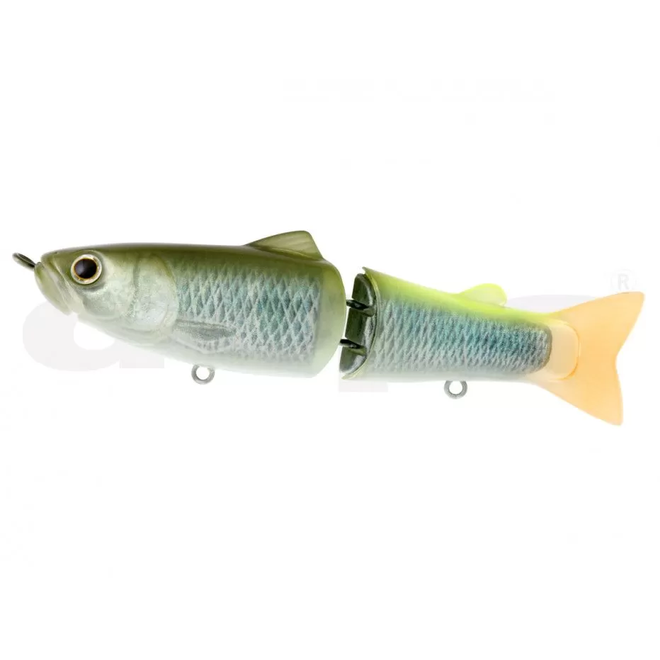 poisson-nageur-deps-new-slide-swimmer-115-ss