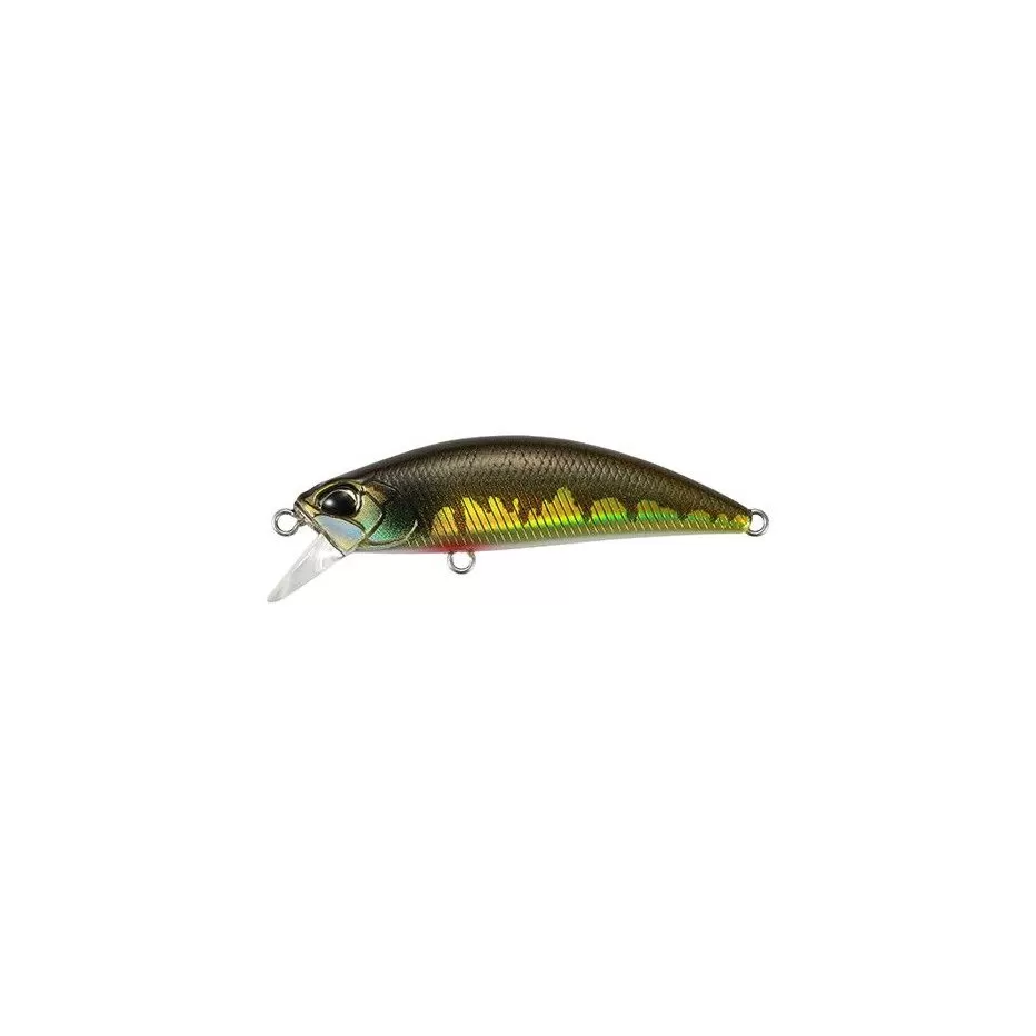 poisson-nageur-duo-international-spearhead-ryuki-45-sk